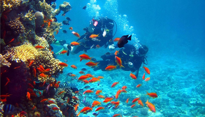 banderas reef