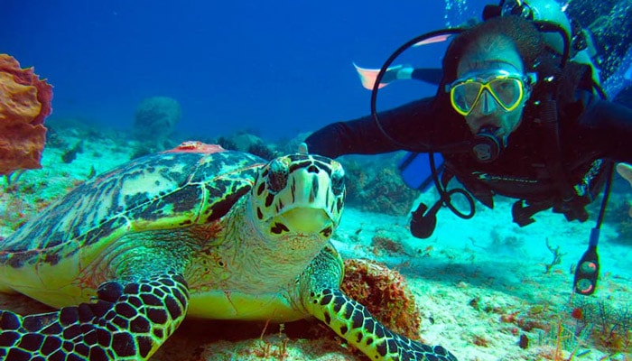 isla mujeres diving