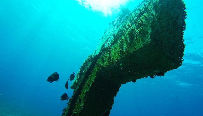 manchones reef