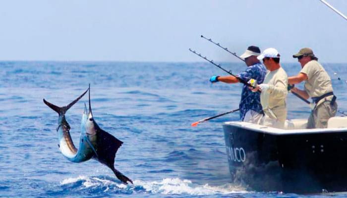 Isla Mujeres Fishing