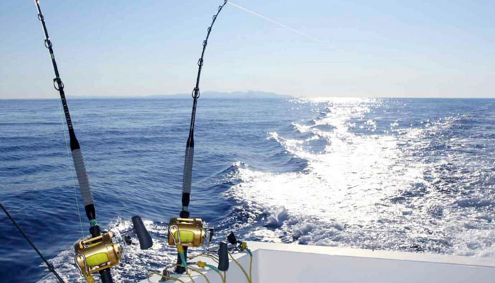 Seasons for Fishing in Isla Mujeres