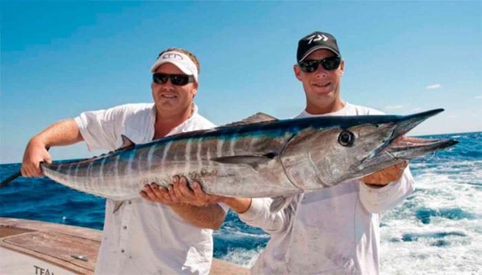 Wahoo Fish in Isla Mujeres