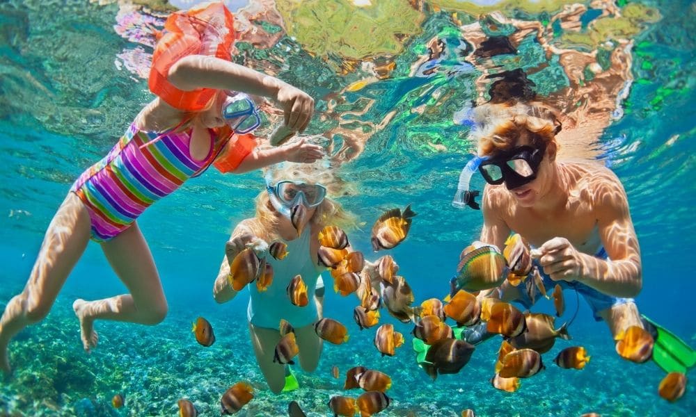 Snorkeling en Isla Mujeres