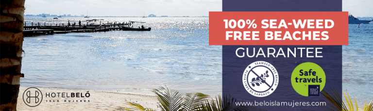 Beach Free Sea Weed Isla Mujeres