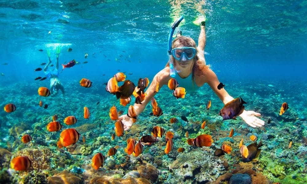 Tour Snorkel Isla Mujeres