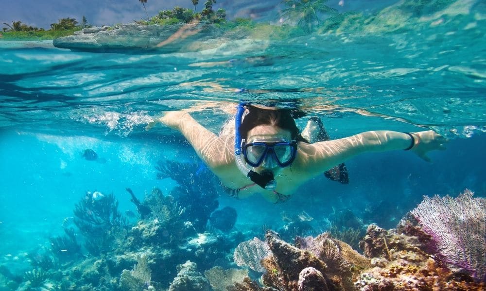 Tour Snorkel Isla Mujeres